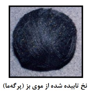 توضیح عکس
