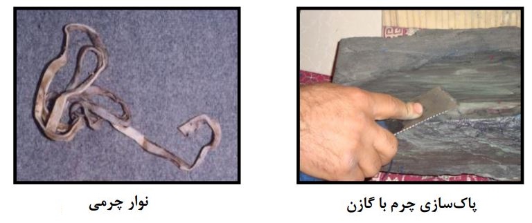 توضیح عکس